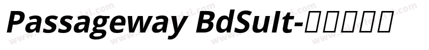 Passageway BdSuIt字体转换